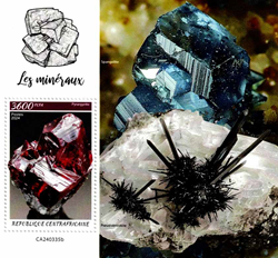 7741CAF24.jpg 7741CAF24.jpg