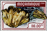 7511MOZ18.jpg 7511MOZ18.jpg