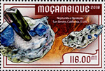 7514MOZ18.jpg 7514MOZ18.jpg