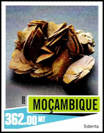 7577MOZ20.jpg 7577MOZ20.jpg