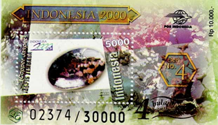 7831IND00.jpg 7831IND00.jpg