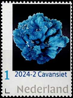 7824NED24.jpg 7824NED24.jpg